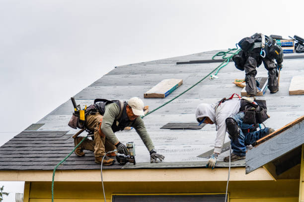 Professional Roof Inspection technician working in Melville, NY